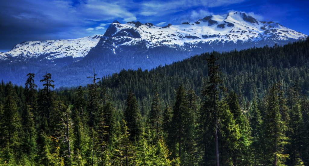 Prince of Wales Island in Alaska