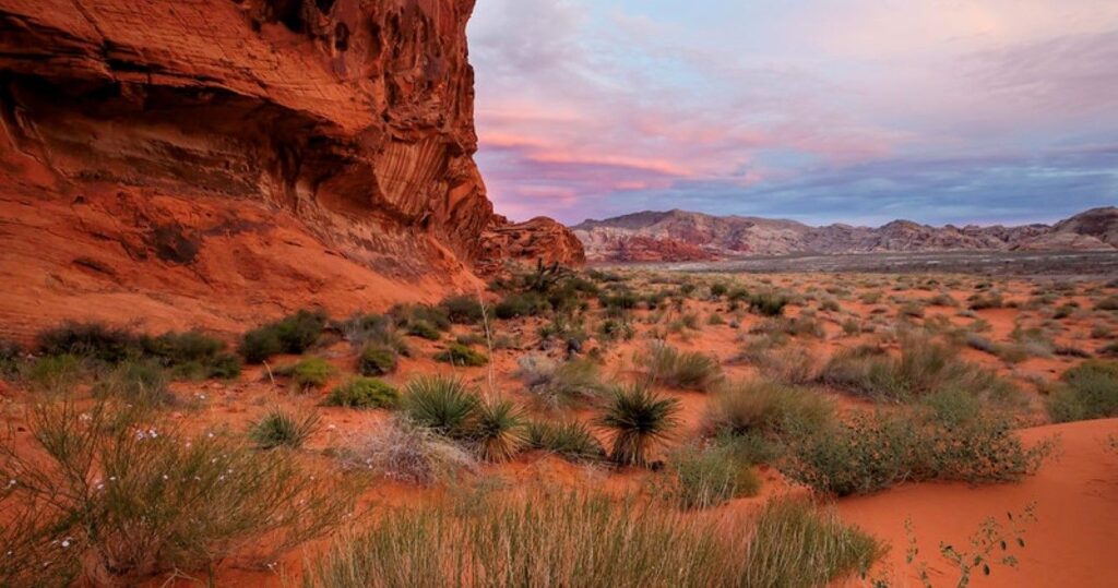 Gold Butte National Monument, Nevada