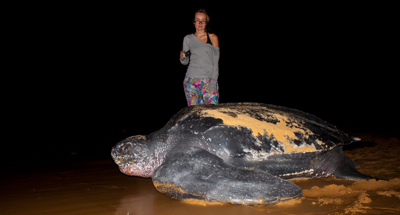 Turista com tartaruga de couro à noite