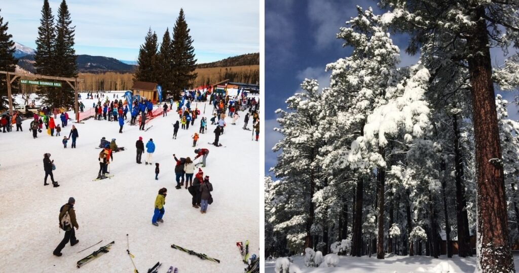 skiing in flagstaff arizona, snow-covered woods