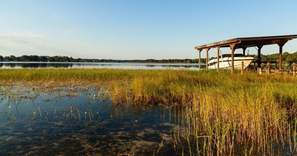 a marsh in lake placid at sunset