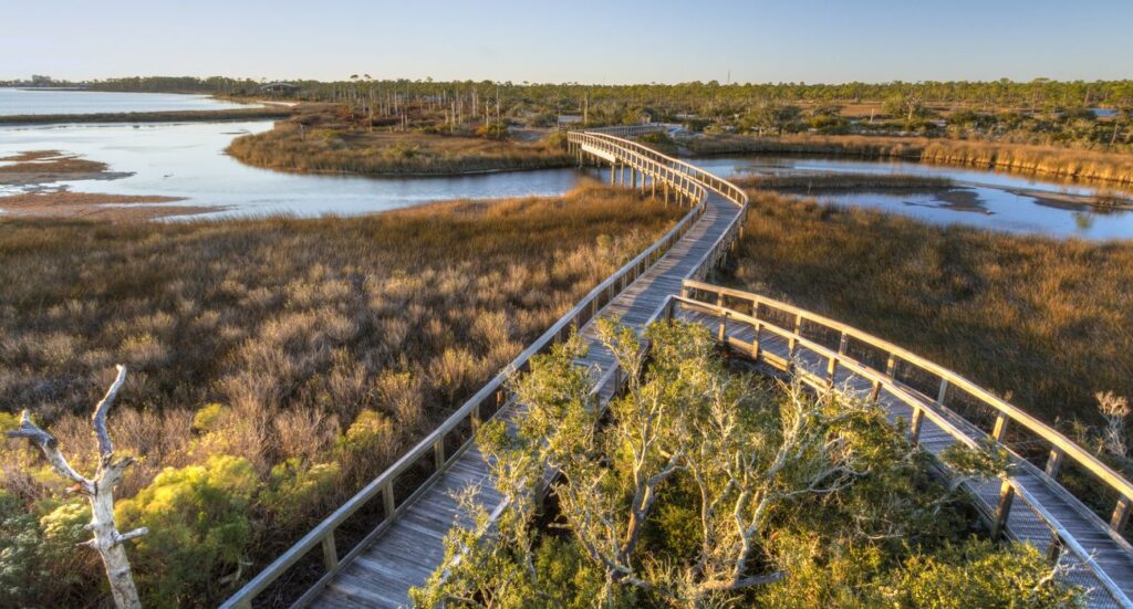 Boardwalk trails in Big Lagoon State Park