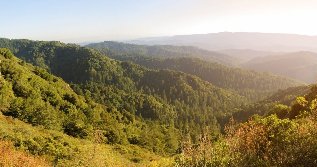 the santa cruz mountains at sunrise